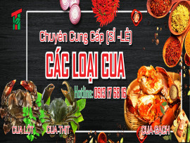 Vì sao cua biển Cà Mau trở thành món đặc sản được mọi người yêu thích?