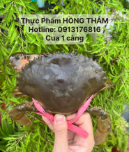 Cua một càng